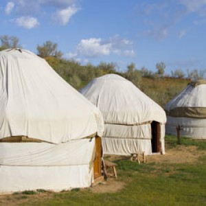wooden yurts uk roundhouse 